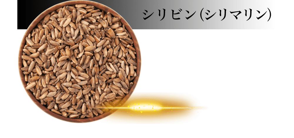 シリビン(シリマリン):地中海原産のマリアアザミにのみ含まれている天然のフラボノイドポリフェノールの一種。