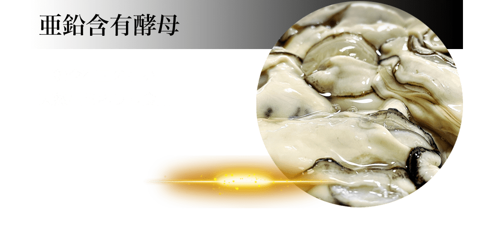 亜鉛含有酵母:亜鉛含有量の高い天然型ミネラル食品