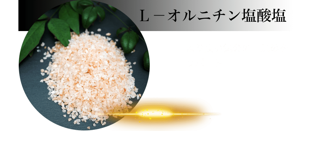 L-オルニチン塩酸塩:より良い気分の目覚めをサポートする機能